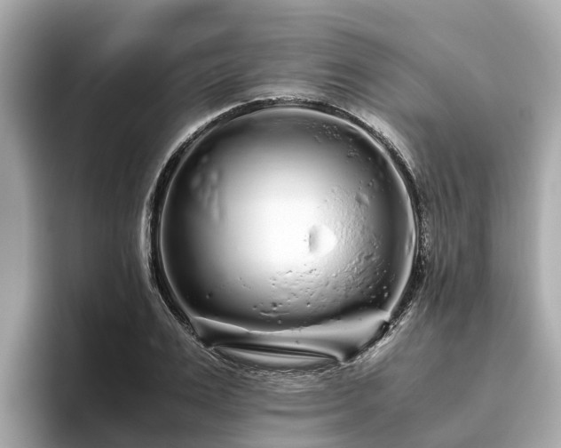 X0000094080983200710261303