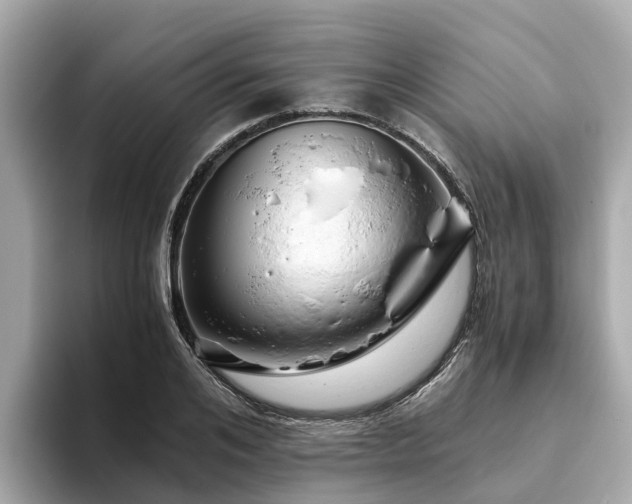 X0000094080984200710261303