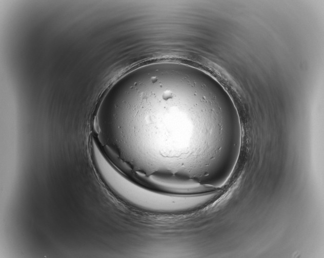 X0000094080985200710261303