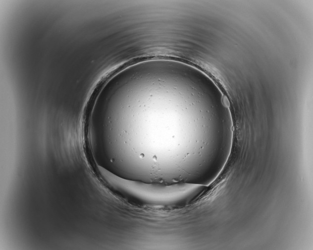 X0000094080987200710261303