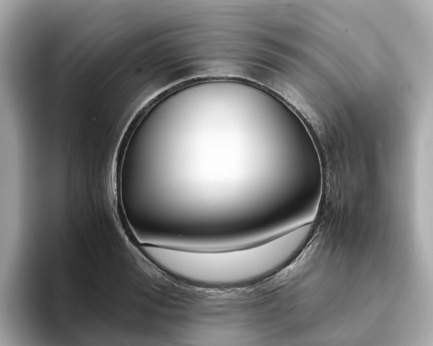 X0000094080988200710261303