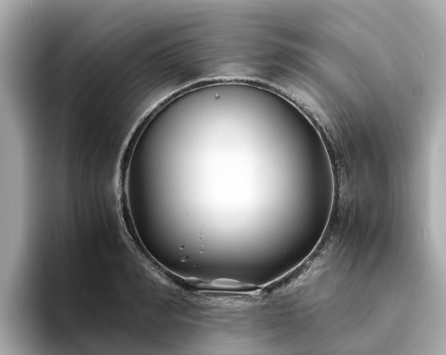 X0000094080990200710261303