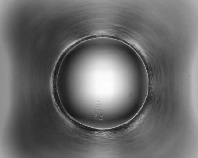 X0000094080991200710261303