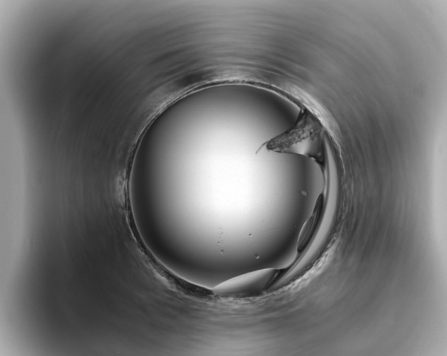 X0000094080993200710261303