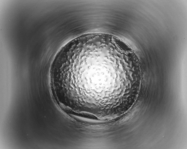 X0000094080998200710261303