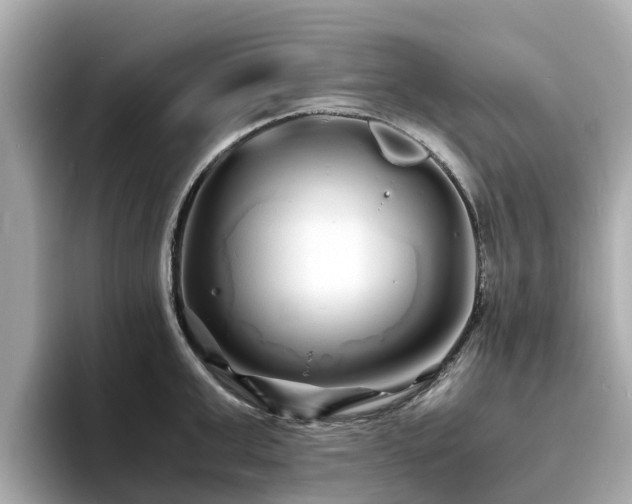 X0000094080999200710261303