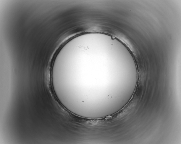 X0000094081000200710261303