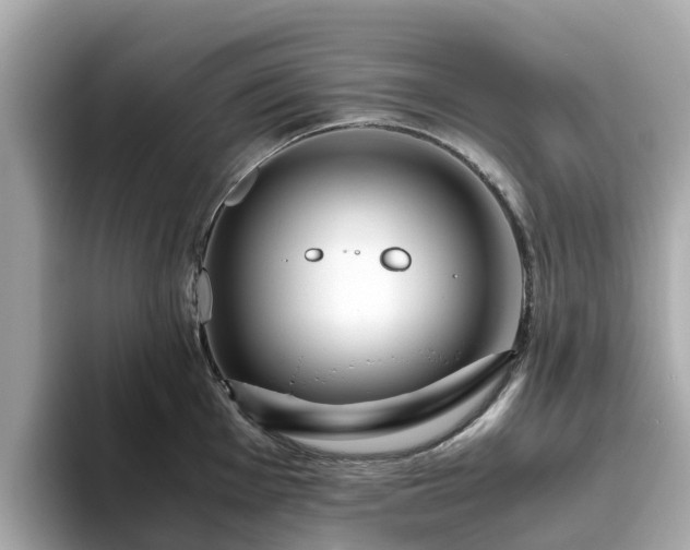 X0000094081001200710261303