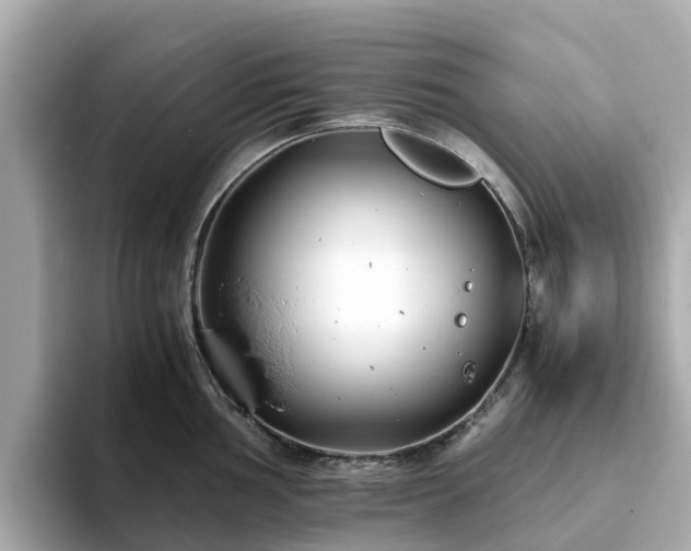 X0000094081002200710261303