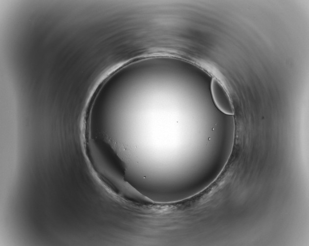 X0000094081003200710261303