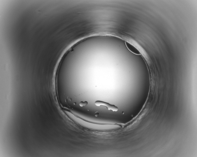 X0000094081004200710261303