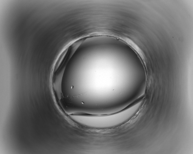 X0000094081005200710261303