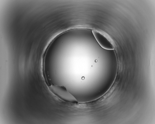 X0000094081006200710261303