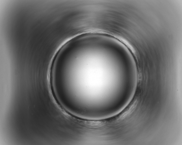 X0000094081007200710261303