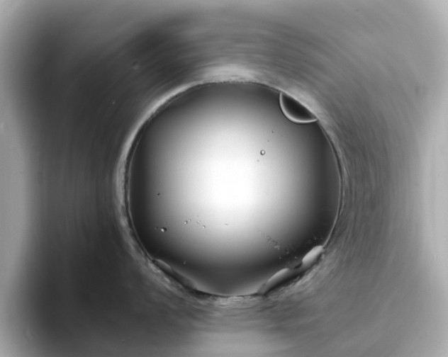 X0000094081008200710261303