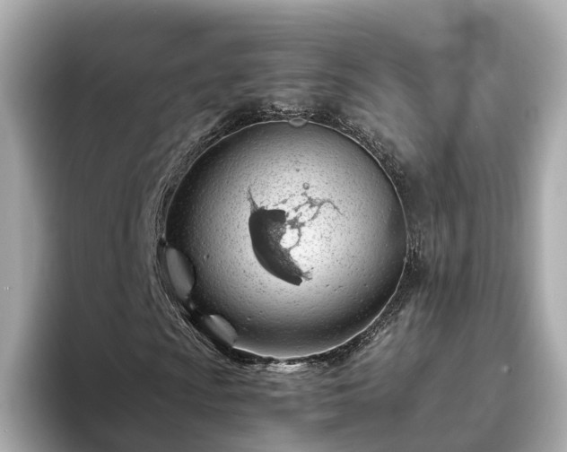 X0000094081009200710261303