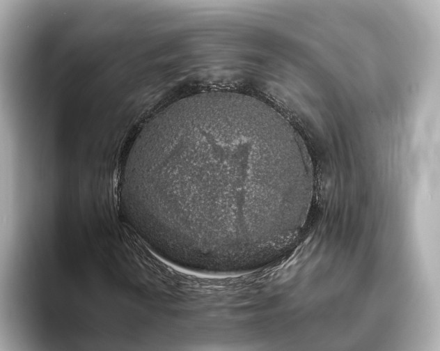 X0000094081010200710261303