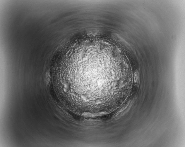 X0000094081011200710261303