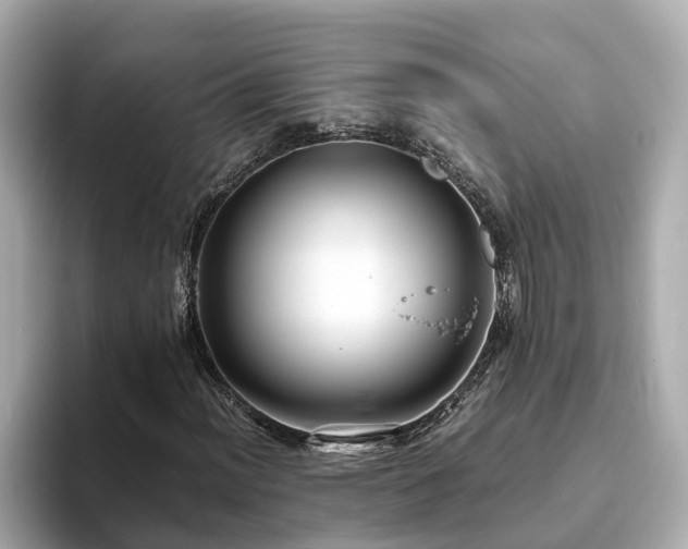 X0000094081012200710261303