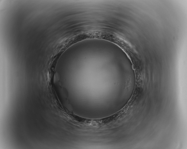 X0000094081013200710261303