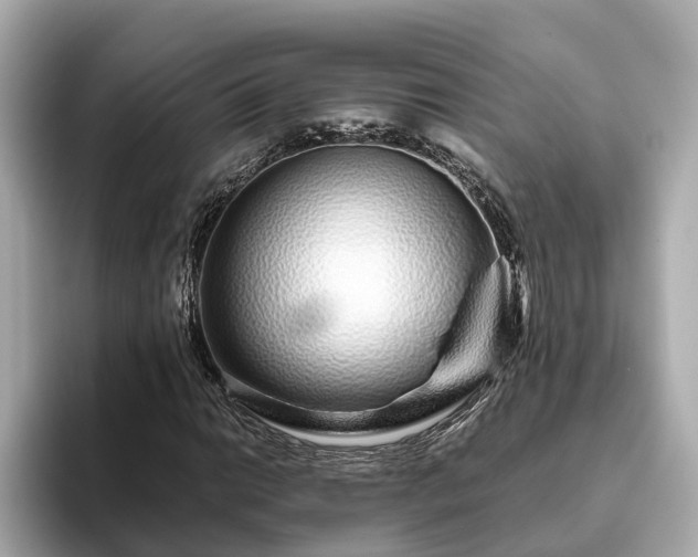 X0000094081014200710261303