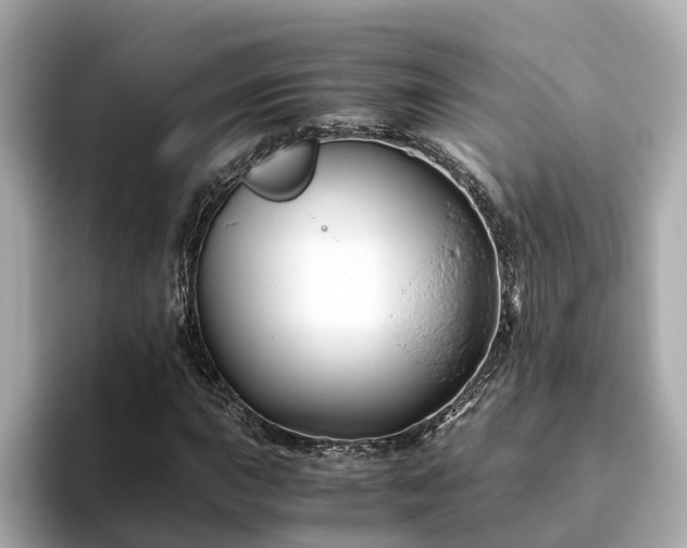 X0000094081015200710261303