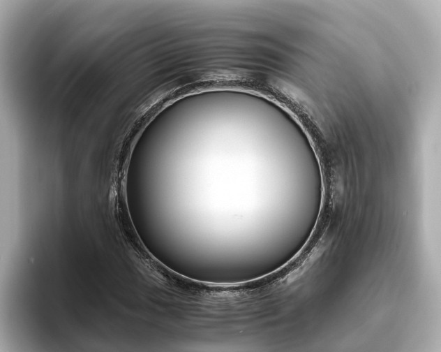 X0000094081017200710261303