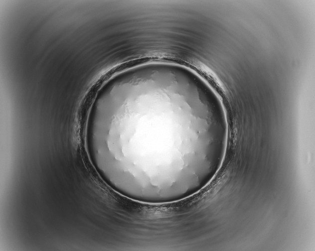 X0000094081019200710261303