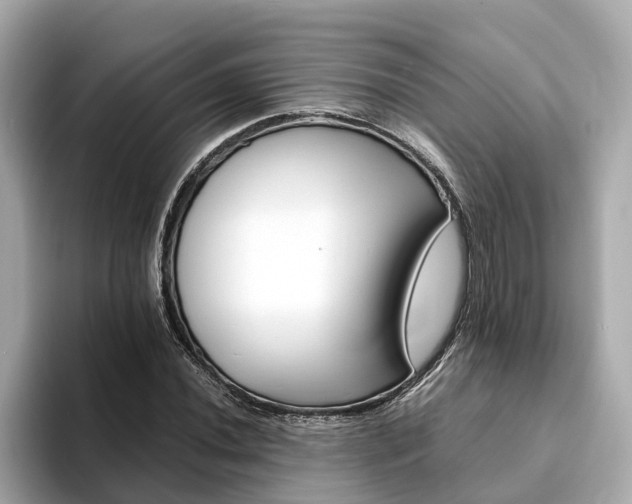 X0000094081020200710261303