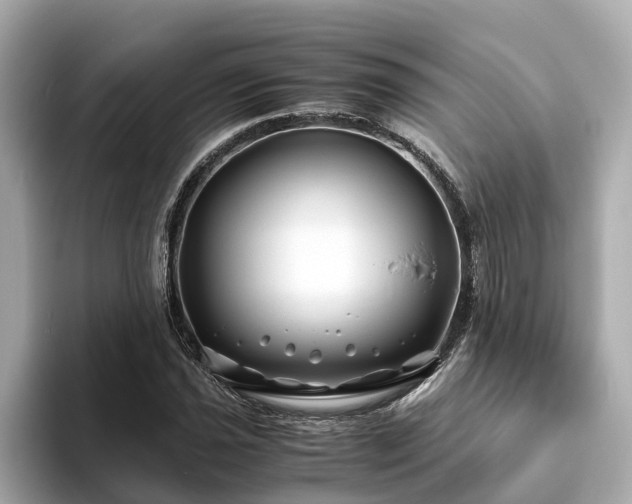 X0000094081021200710261303