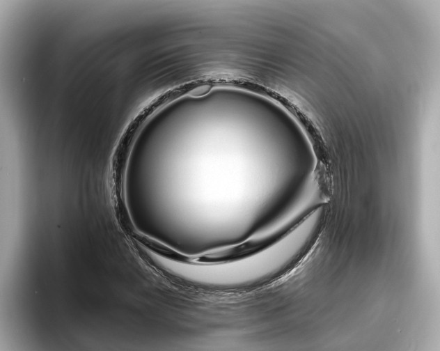 X0000094081022200710261303