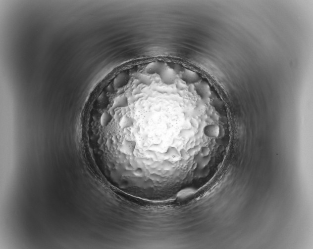 X0000094081023200710261303