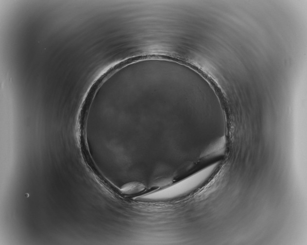 X0000094081024200710261303