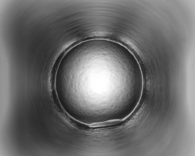 X0000094081026200710261303