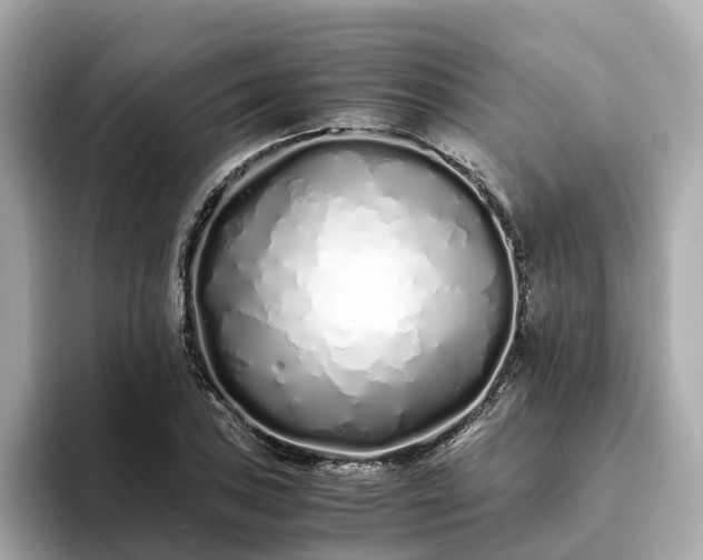 X0000094081027200710261303