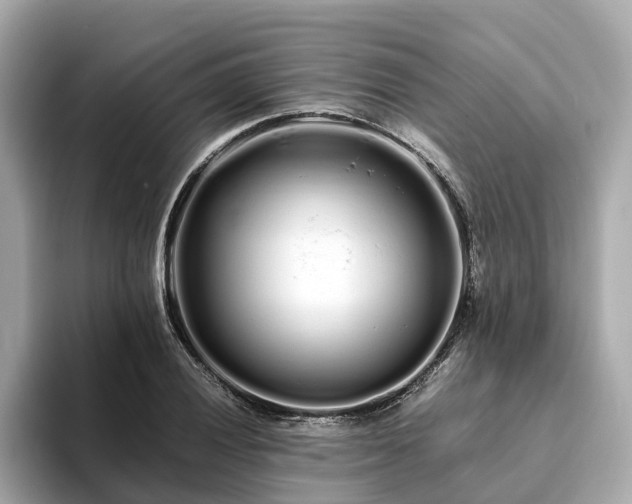 X0000094081028200710261303