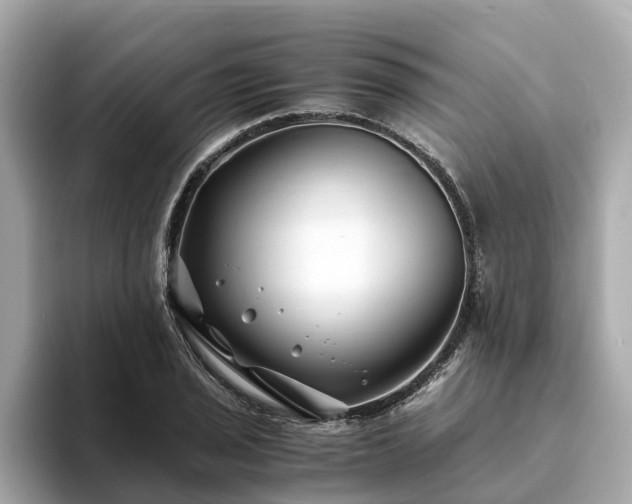 X0000094081029200710261303