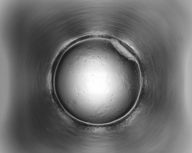 X0000094081030200710261303