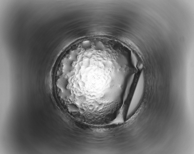 X0000094081031200710261303