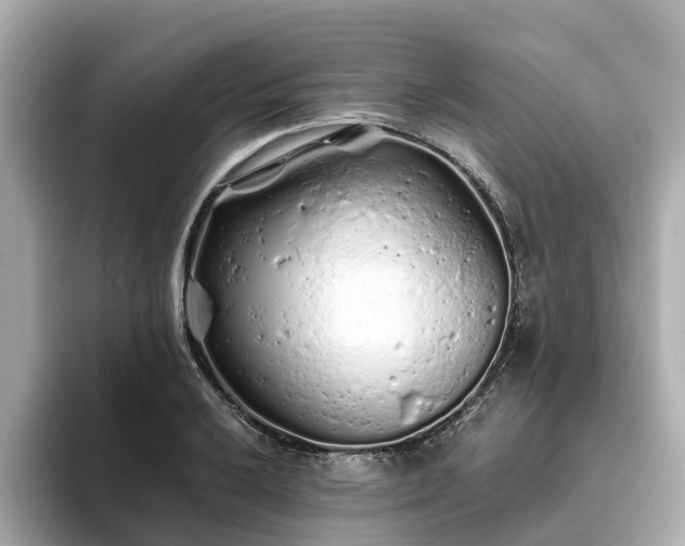 X0000094081032200710261303