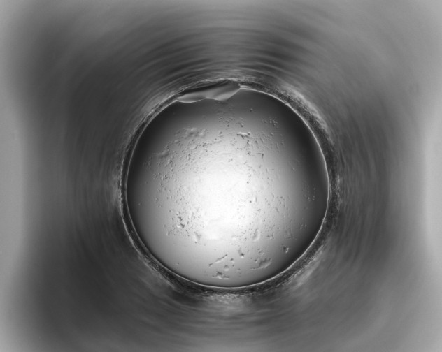 X0000094081033200710261303