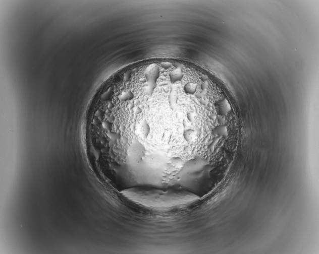 X0000094081035200710261303