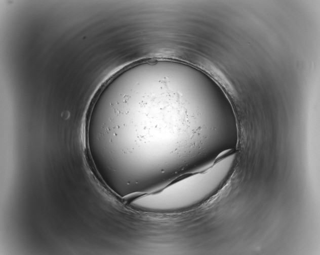 X0000094081036200710261303