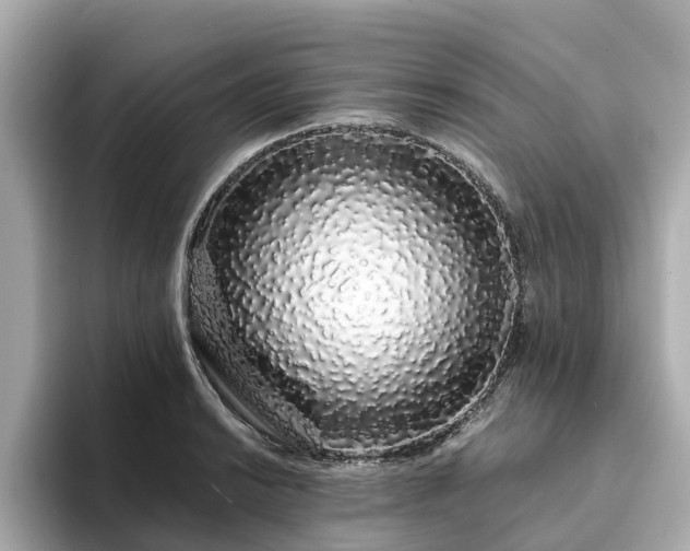 X0000094081038200710261303