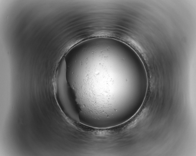 X0000094081041200710261303