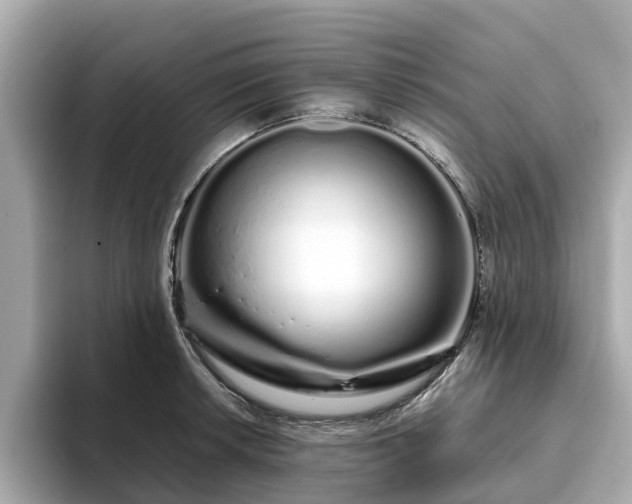 X0000094081042200710261303