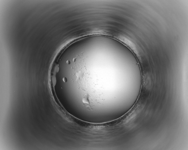 X0000094081043200710261303