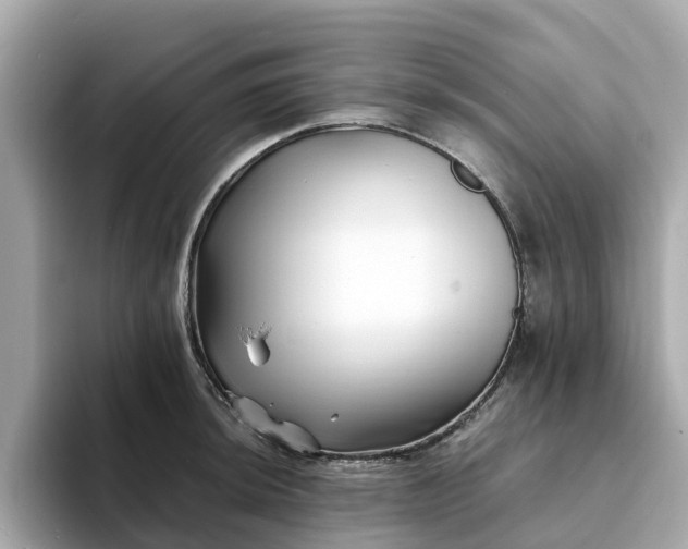 X0000094081044200710261303