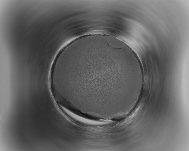 X0000094081045200710261303