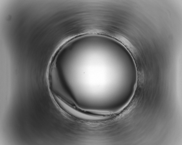 X0000094081046200710261303